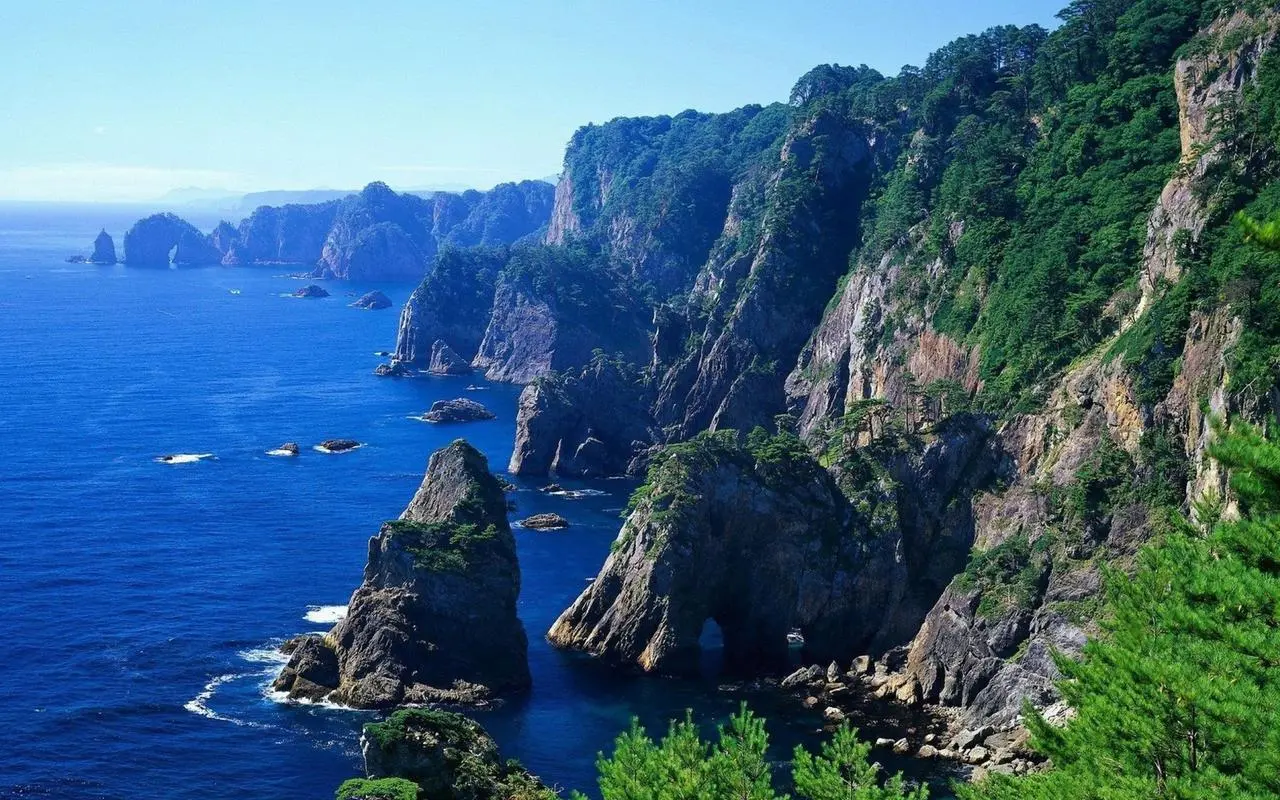 高端科技全自动